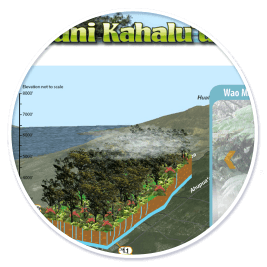 Waipuni Kahalu'u Watershed Website